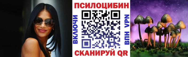 Галлюциногенные грибы Psilocybe  Ковдор 